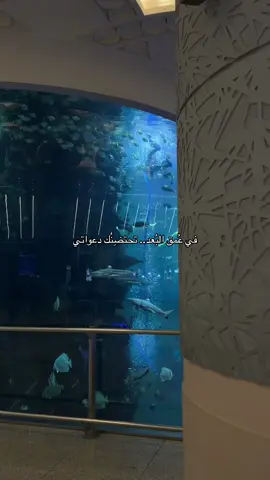 #اكسبلور #حب #علاقة #صداقة #دعاء 