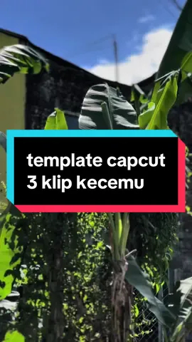 #CapCut 3 KLIP KECEMU🤪 #actemplate #templatecapcut 