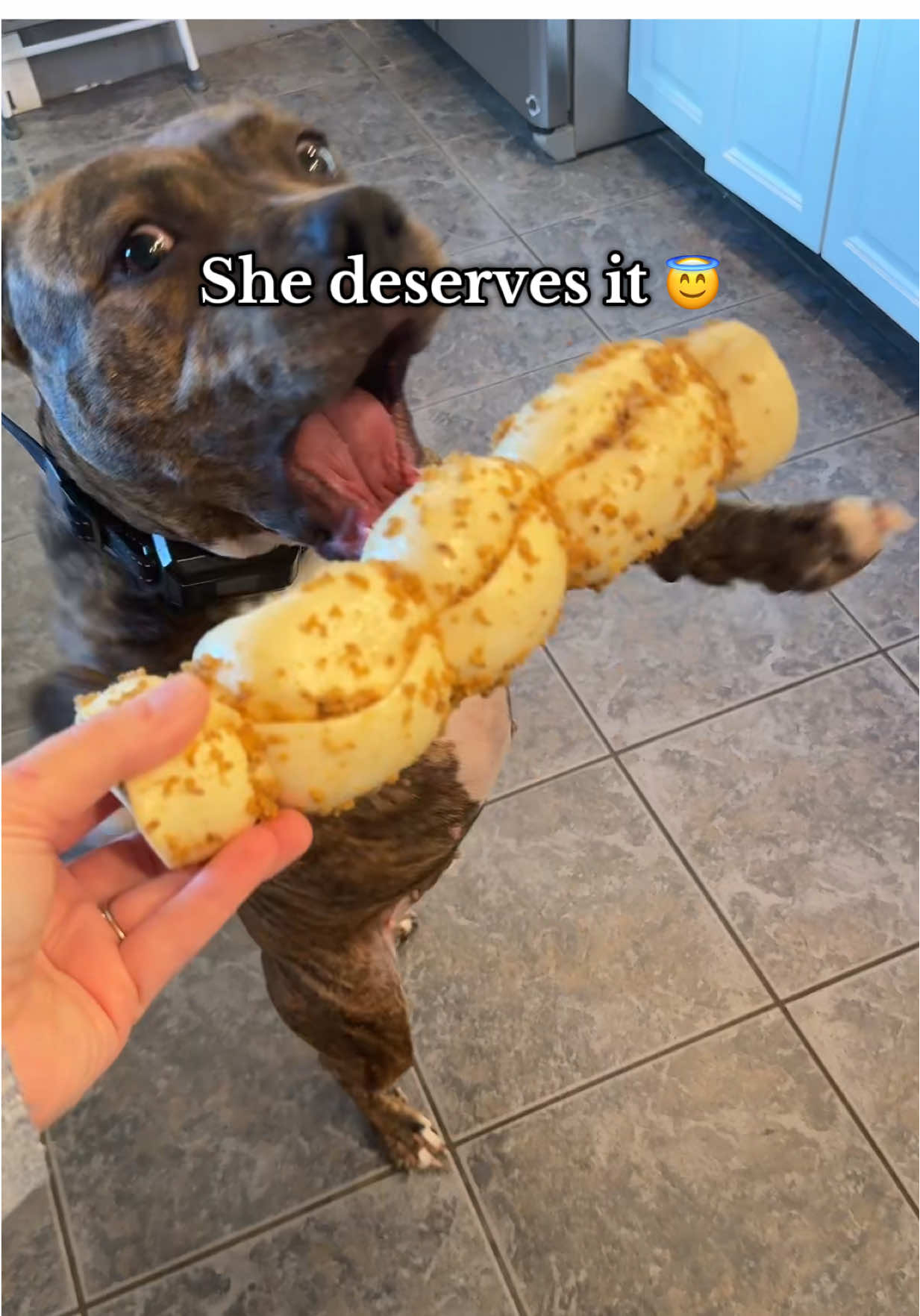 NO 🙌🏻 RAWHIDE!! She loves these cheek rolls and can chew on them for a a long time! Perfect for her separation anxiety 🥰 #dogtreats #pitbullsoftiktok #bullystick #cheekroll #TikTokShopCreatorPicks  @Wild Wolf Bully Sticks 
