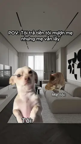 😭 #memes #kozyfashion 