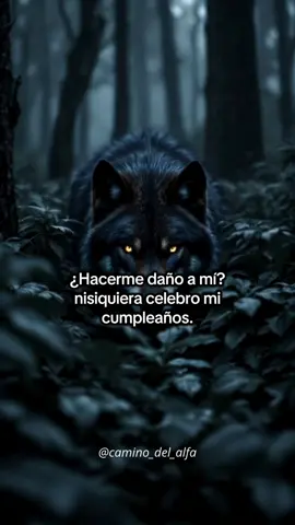 No podrás hacerme daño🐺🔱 #parati #superacion #viral #reflexion #lobo 