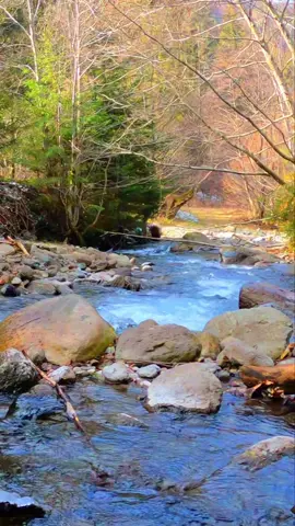 #diostieneelcontrol #diosmedafuerza #Diosesfiel #jesus #diosconmigoquiencontrami🙏🙏🙏🙏🙏 