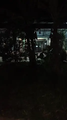 ngikot yg viral ni min untok lucu