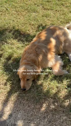 sorry I haven’t been sharing as many joyful moments with Skye, we will bounce back soon 💕😘🫶