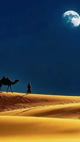 #ฝันดีนะคะ #ส่งเข้านอนเพลงสากลเพราะๆค่ะ #ขอบคุณทุกกําลังใจ❤️ขอบคุณทุกคอมเม้น🙏 #tiktokวีดีโอยาว 