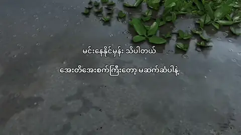 မနေတတ်လို့ပါ