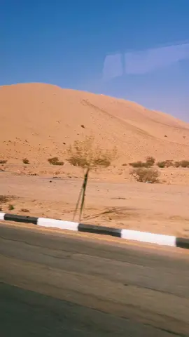 Jabal Malaikat di Madinah adalah saksi bisu Pertempuran Badar, tempat ribuan malaikat turun membantu umat Muslim meraih kemenangan. Gunung ini menjadi simbol intervensi Ilahi dan dihormati hingga kini #jabalmalaikat #perangbadar 