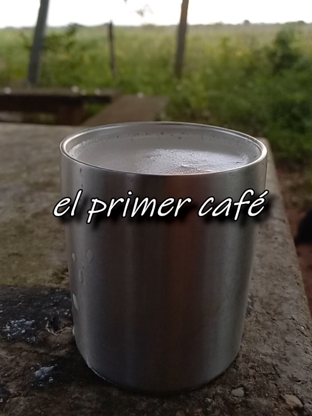 #joropo #elprimercafe☕☕🥰🥰🥰 #joropoparaelmundo  #paratiiiiiiiiiiiiiiiiiiiiiiiiiiiiiii #waltersilva 