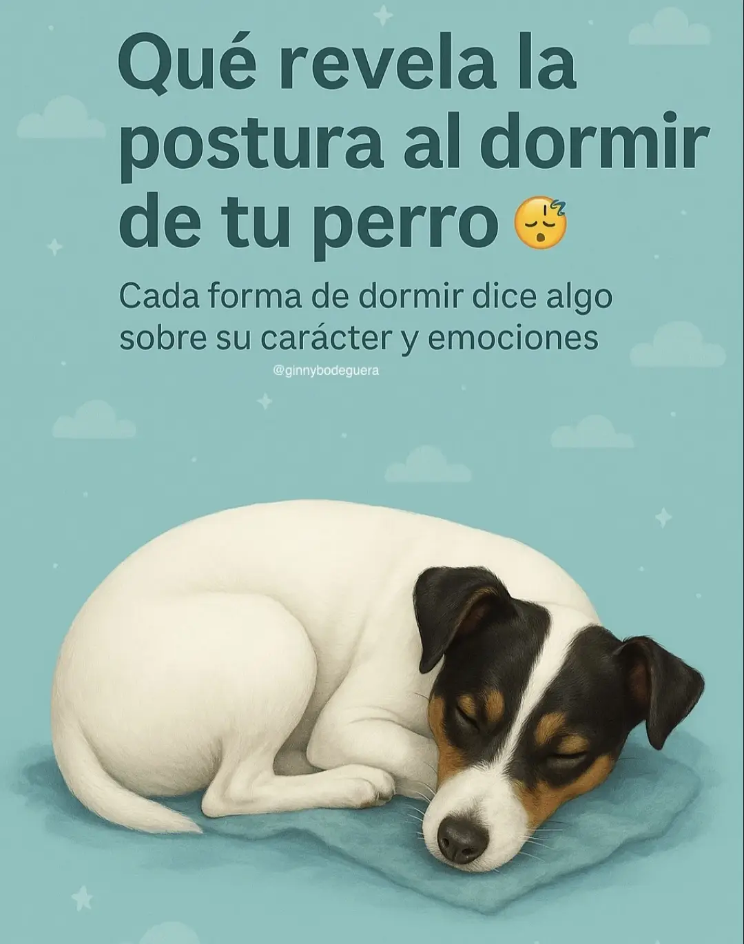 Cada postura tiene un significado particular. Los que dormimos con nuestras mascotas sabemos de esto, y tu como duermes con tu peludito? Que postura tiene al dormir contigo ? . #fpy #mascotas #perros #perrostiktokers #viraltiktok 