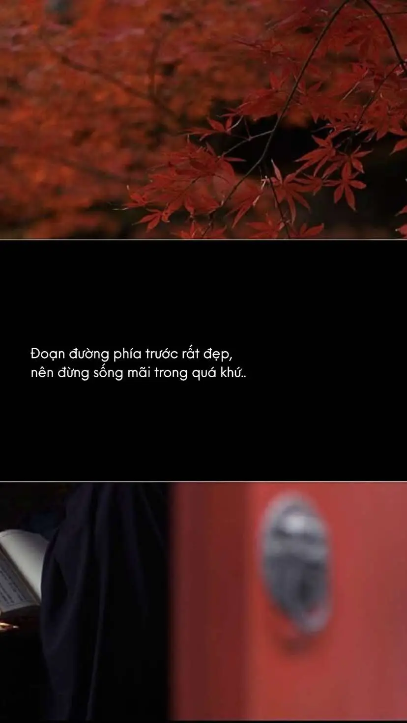 #manhan_22 #phatphapnhiemmau 