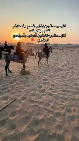 قرببب موسم الشتا مستعدين ؟🔥#خيل_عربي_اصيل #خيل_وخياله🐎 #فارس #اكسبلورexplore #مالي_خلق_احط_هاشتاقات #الشعب_الصيني_ماله_حل😂😂 #foryoupage #فرسان_الخيل #السلاطين #اوزلاين #مربط_خيول #ترند_جدید 