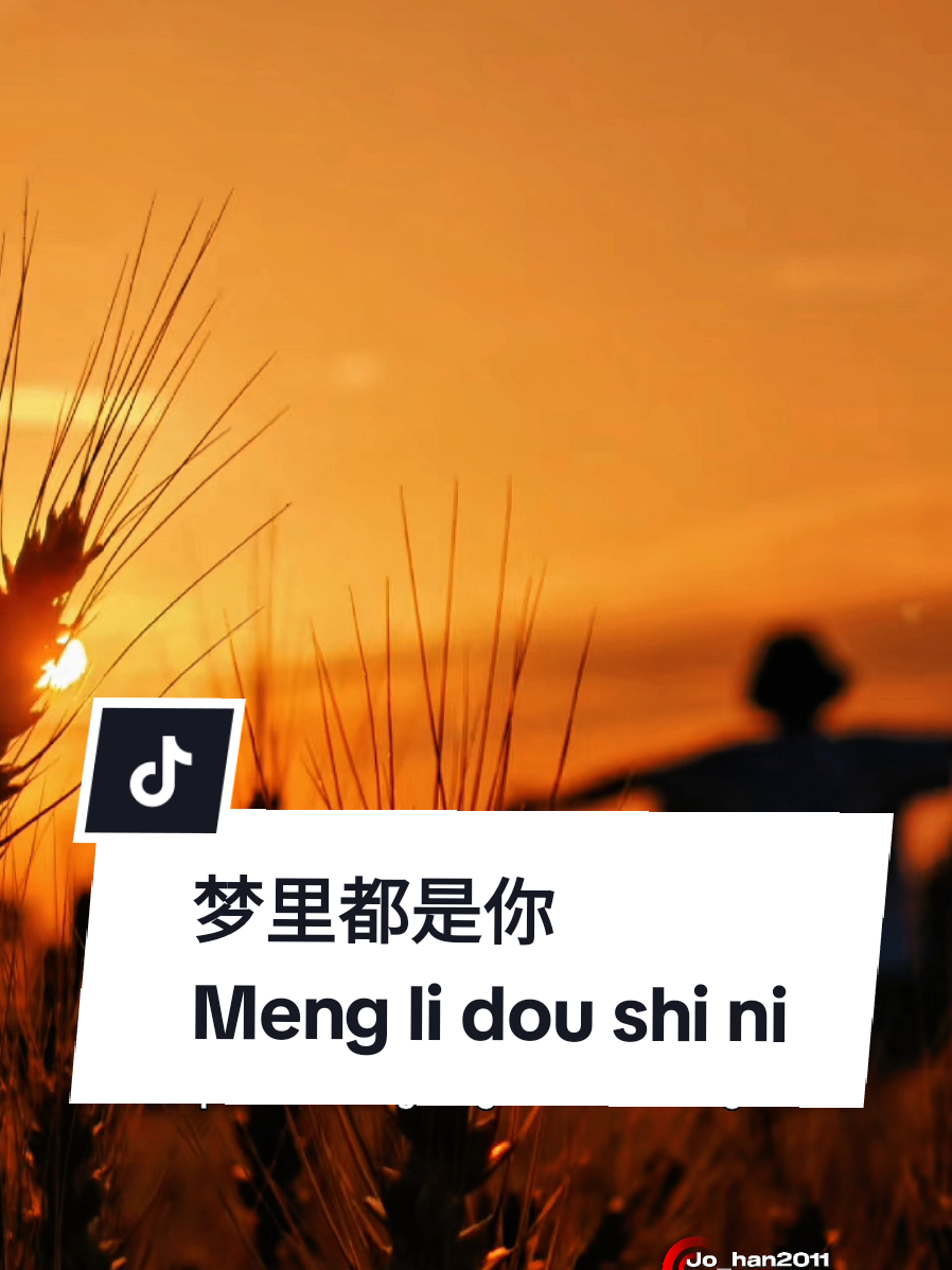梦里都是你  Meng li dou shi ni  ( Dalam mimpiku hanya ada dirimu )  🎵 作词/作曲：J2011  Dalam setiap mimpi ada dirimu bahkan saat terbangun, air mata masih menetes. 🌙💔  Kadang cinta tidak pergi... hanya berubah menjadi mimpi yang terus berulang setiap malam. 🌌  Aku terbangun… tapi masih mencari senyummu di antara sisa mimpi. 😢  Kita mungkin berpisah di dunia nyata, tapi di setiap mimpiku, kamu masih di sana. 💫  Mimpi berakhir, tapi hati masih di tempat yang sama. 💭  #梦里都是你 #mysong #CapCut #jo_han2011 #ownsong 