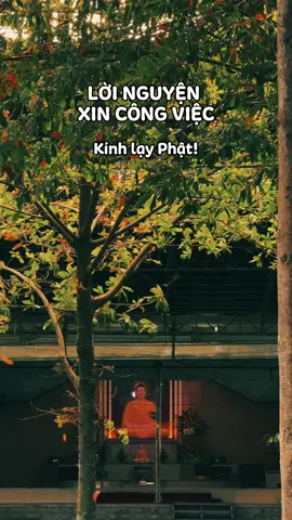 Lời nguyện khi xin việc 🙏🏻 #phậtphápnhiệmmàu #samhoimoingay #tuhanhcoban #phậtgiáo #loicaunguyen 