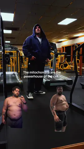 Yesterday’s workout was all about heavy chest and shoulders — the kind of day where every press feels like a statement. Started with bench at 225 for clean 8s, rolled into dumbbell incline with the 90s, and finished off with shoulder presses that lit my delts on fire. Added in some lateral and front raises to chase that roundness — by the end, I was cooked but grinning. The pump was one of those that makes you double-take in the mirror, like “yeah… that’s work showing.” Not every day in the gym hits like this one, but when it does, you ride the wave. No ego lifting, no skipping reps — just control, tension, and consistency stacking up. The kind of workout that reminds you why you keep showing up.  I’m still looking for a handful of people who are interested in my six week transformation challenge DM me if you are tired of being sick and tired! #gymmotivation #FitnessTransformation #WeightLossJourney #ISSA #personaltrainer 