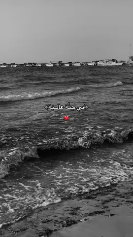 #ليبيا🇱🇾 #صبراته #الزاوية_العنقاء_طرابلس_صبراتة_مصراتة #طبرق_بنغازي_درنه_طرابلس 