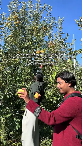 apple picking with my sylheti family except there’s no aesthetic sounds and you have to be in the chaos with us 😭🍎🍁 #sylheti #sylhety #bengalifamily #desifamily 