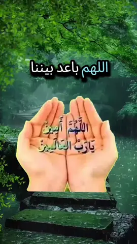 #دعاء_يريح_القلوب #يارب_فوضت_امري_اليك #حفظكم_الله_ورعاكم_ونصركم_وأعزّكم_ #المغرب🇲🇦 