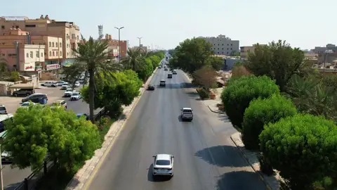 بعض الأشجار الجميلة في مدينة سيهات 🌿🌿🌿🌿#السعودية🇸🇦 #explorepage #القطيف_الشععب_اللطيف #سيهات #المملكة_العربية_السعودية 