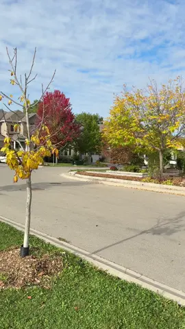 #foryoupage #canada_life🇨🇦 #traveltiktok 