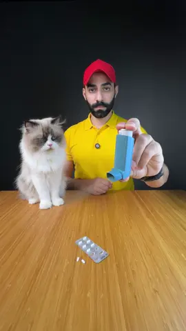 شاركني تجربتك اذا ربيت قطة وعندك ربو !! @loqma 