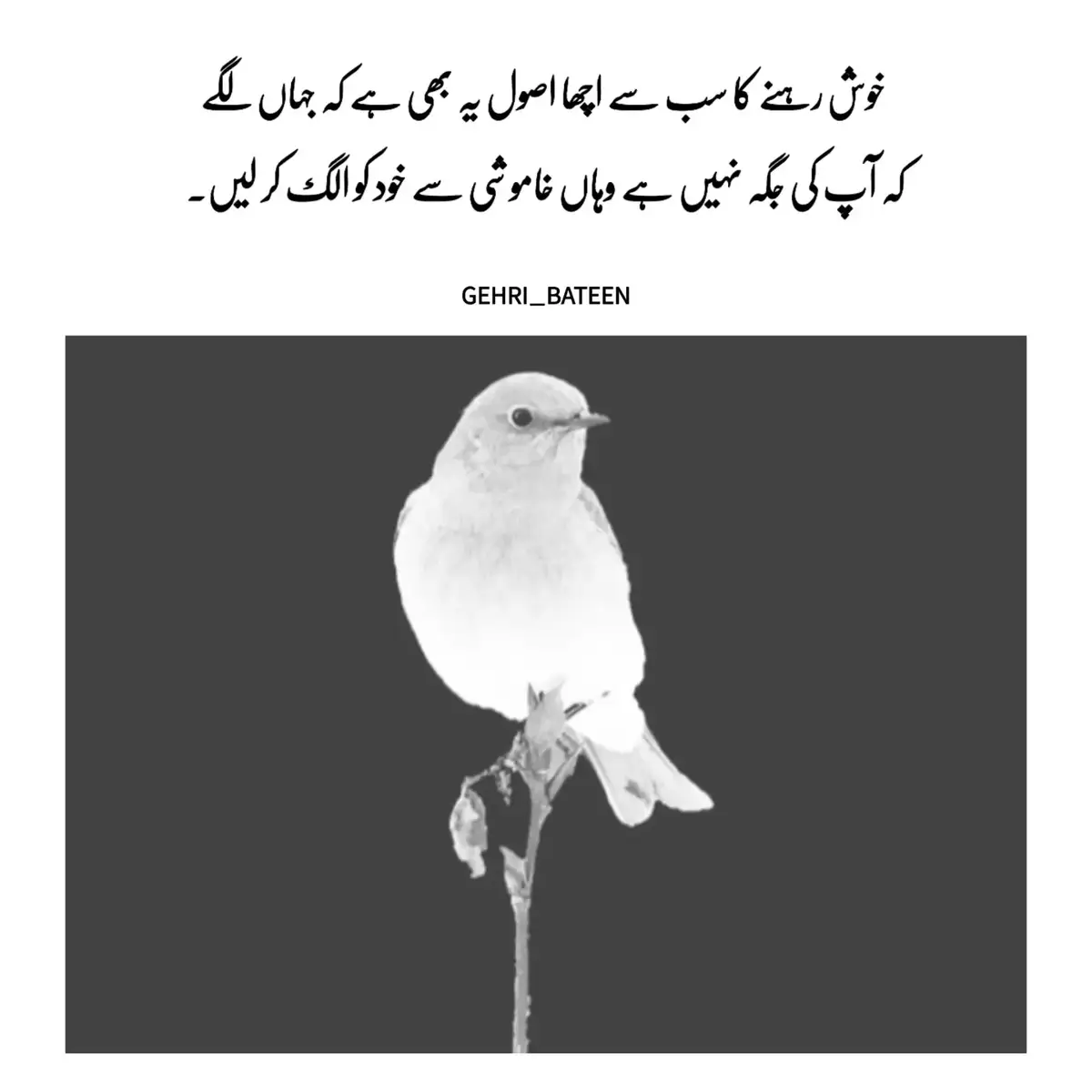 ‏لوگوں کو مت بتائیں کہ آپ کیا ہیں، جو آپ ہیں اُسے عمل میں لے آئیں۔ آپ کا عمل خود بتائے گا آپ کیا ہیں... #gehri_bateen #poetry #fyp  #poem #poetrylover✍️😘 