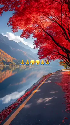 #deveenirviralsurtiktok 