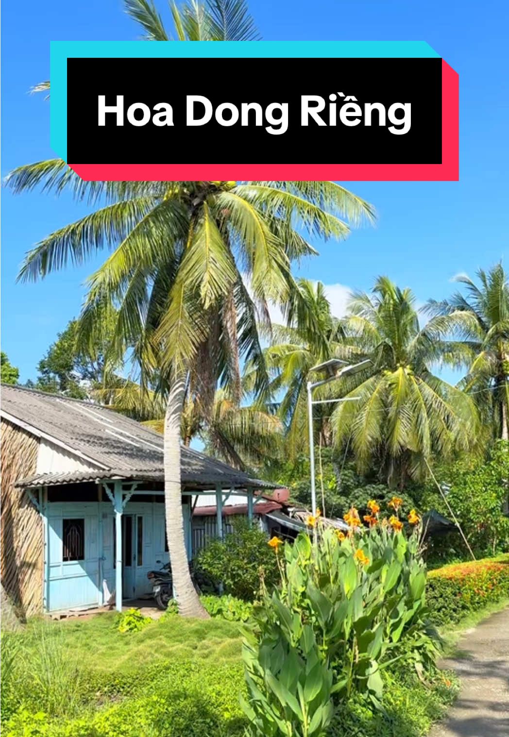 Một căn nhà xanh mướt ở Miệt Thứ #nhadepbonphuong #mietthu #mientay #dulichmientay 