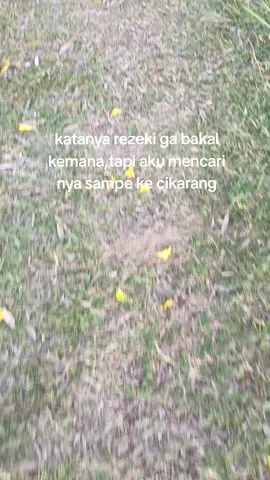 #anakrantau #rantaucikarang 