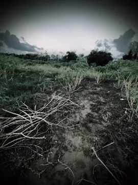 君子至死不忘其言，小人为利忘其情。 Người quân tử đến chết cũng không quên chữ nghĩa Kẻ tiểu nhân vì chút lợi mà quên đi chữ tình#tamtrang #xuhuong #viral 