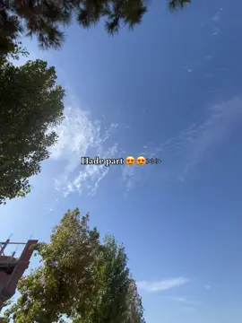 #الشعب_الصيني_ماله_حل😂😂🙈 