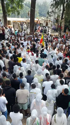 #መዝሙር_ዘኦርቶዶክስ_ተዋህዶ #ኦርቶዶክስ_ተዋህዶ_ፀንታ_ለዘለዓለም_ትኑር #fyp #viral #Capcut 