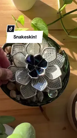 A friend sent me her snake shed so of course I had to do this #stainedglass #glassplants #spookyart #glassart 