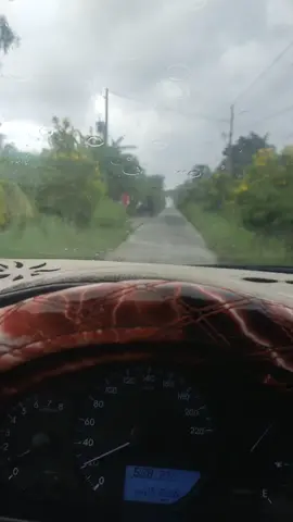 tài xế miền tây quá quen với mấy đường này rồi 🤣 #mientay #xuhuong #taixe 