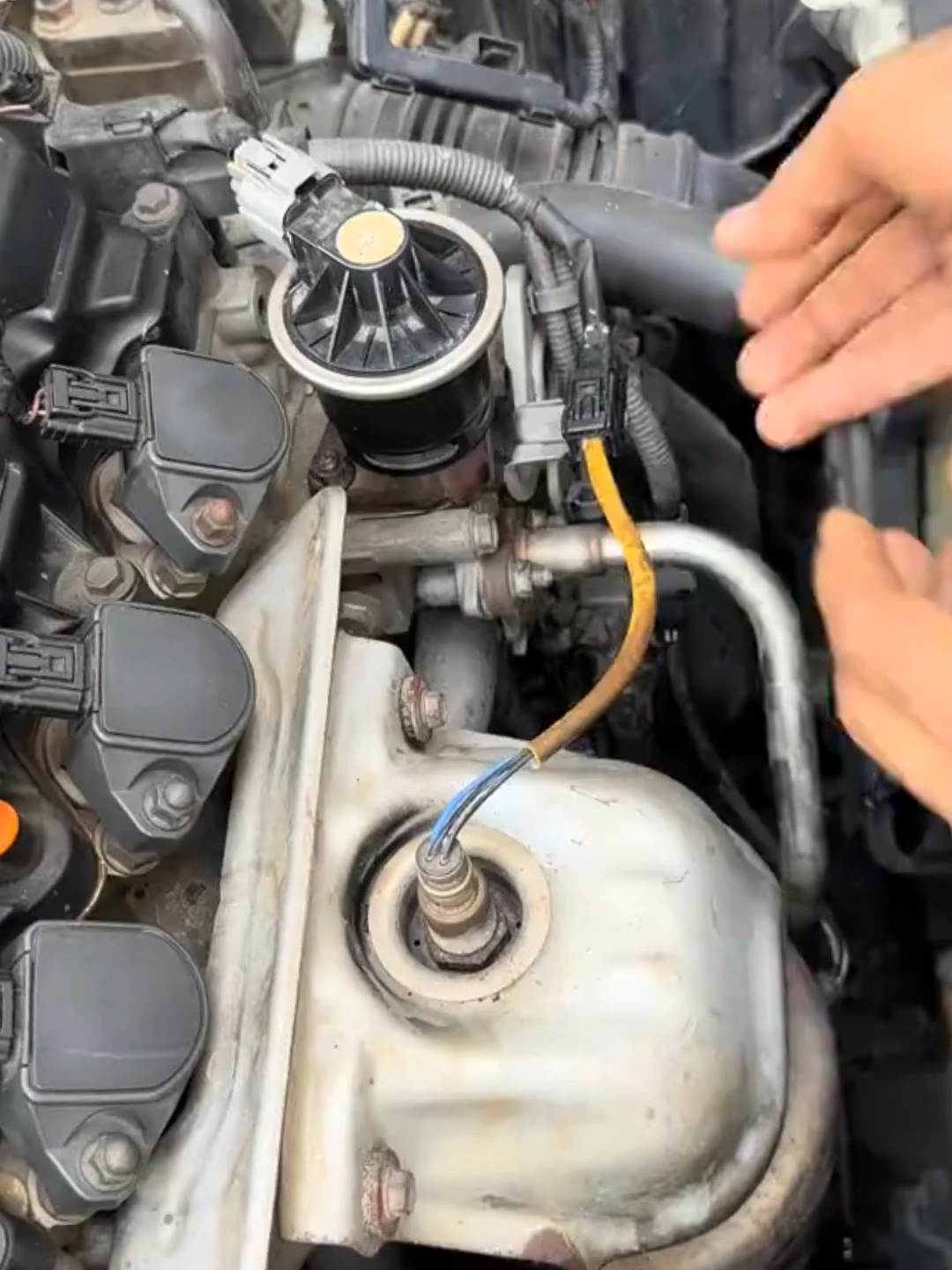 ¿Tu carro pierde potencia y consume más gasolina? Mira cómo usé MZ Cata Clean para limpiar el catalítico: salió hollín por el escape y recuperó rendimiento. Comenta “MECÁNICA”, sígueme y haz clic en el enlace de mi perfil para más información. #CatalíticoLimpio #MZCataClean #RendimientoDelMotor #MecánicaAutomotriz #AprendeMecánica #TallerEnCasa #LimpiezaDeMotor