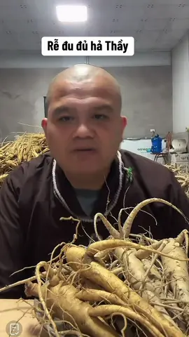 Rễ đu đủ hả Thầy #thichkhaiquang #chuathachlong 