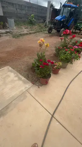 #foryou#zacatecas #feliz #riograndezacatecasmexico❤️🇲🇽 