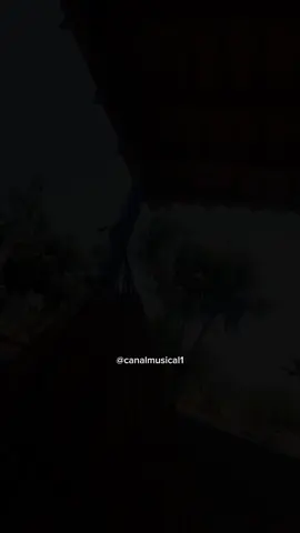 com você ou sem #thiagoaquino #tipografia #musicasparastatus #videosparastatus #sofrencia 