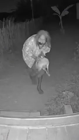 aswang nakuhaan sa cctv, tunay kaya? #fyp #aswang #cctv #trend #viral #scary #creepy 