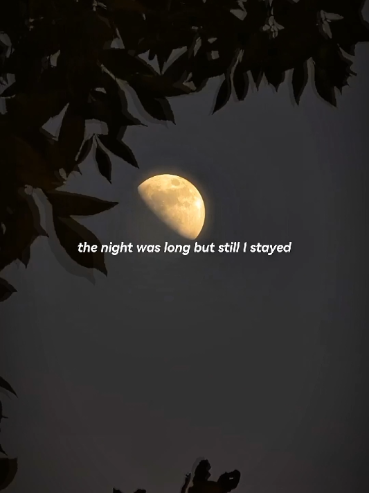 It's just fantastic song.  #blackmood #aesthetic #foryoupage 