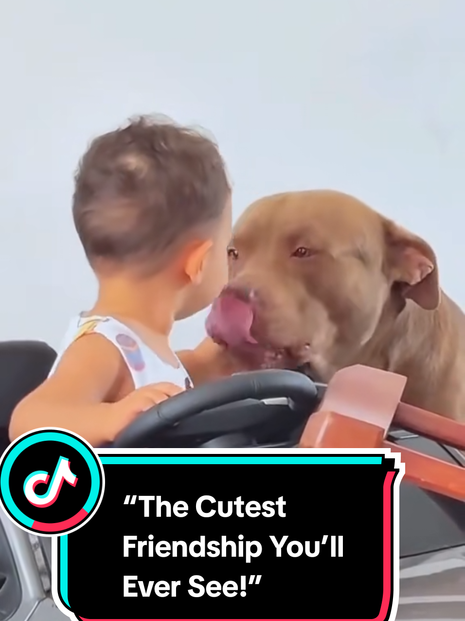 A heartwarming friendship between a little kid and his adorable dog 🐶💖. They play, laugh, and share every moment together — proving that true friendship has no limits! #CuteKid #FunnyDog #BestFriendsForever #WholesomeMoments #DogLover 