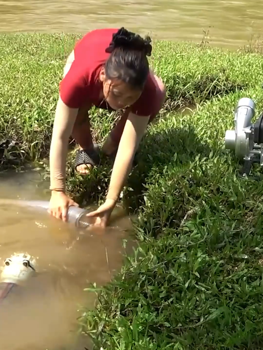 The Girl Fishing Alone on Rivers and Lakes, Fishing with a Pump, Catch a Lots of Fish