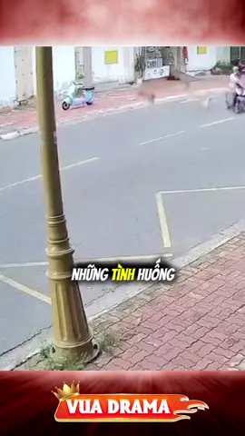 Đóng cửa thả chó trong truyền thuyết đây sao #vuadrama #drama #tintuc #funny #thinhhanh 