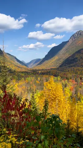 one of the most beautiful places to see the fall colors 🍂 Cette saison pourrait me faire pleurer tellement c’est beau 🍁 #pourtoi #automne #fyp #autumn #foryou 