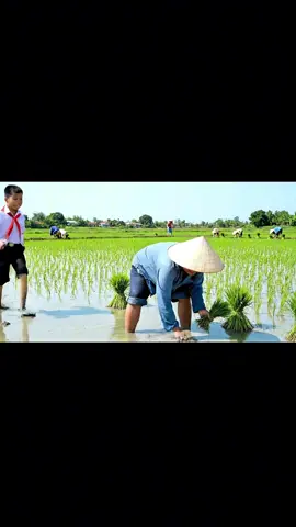 #tiktokshop #sacnhanh 