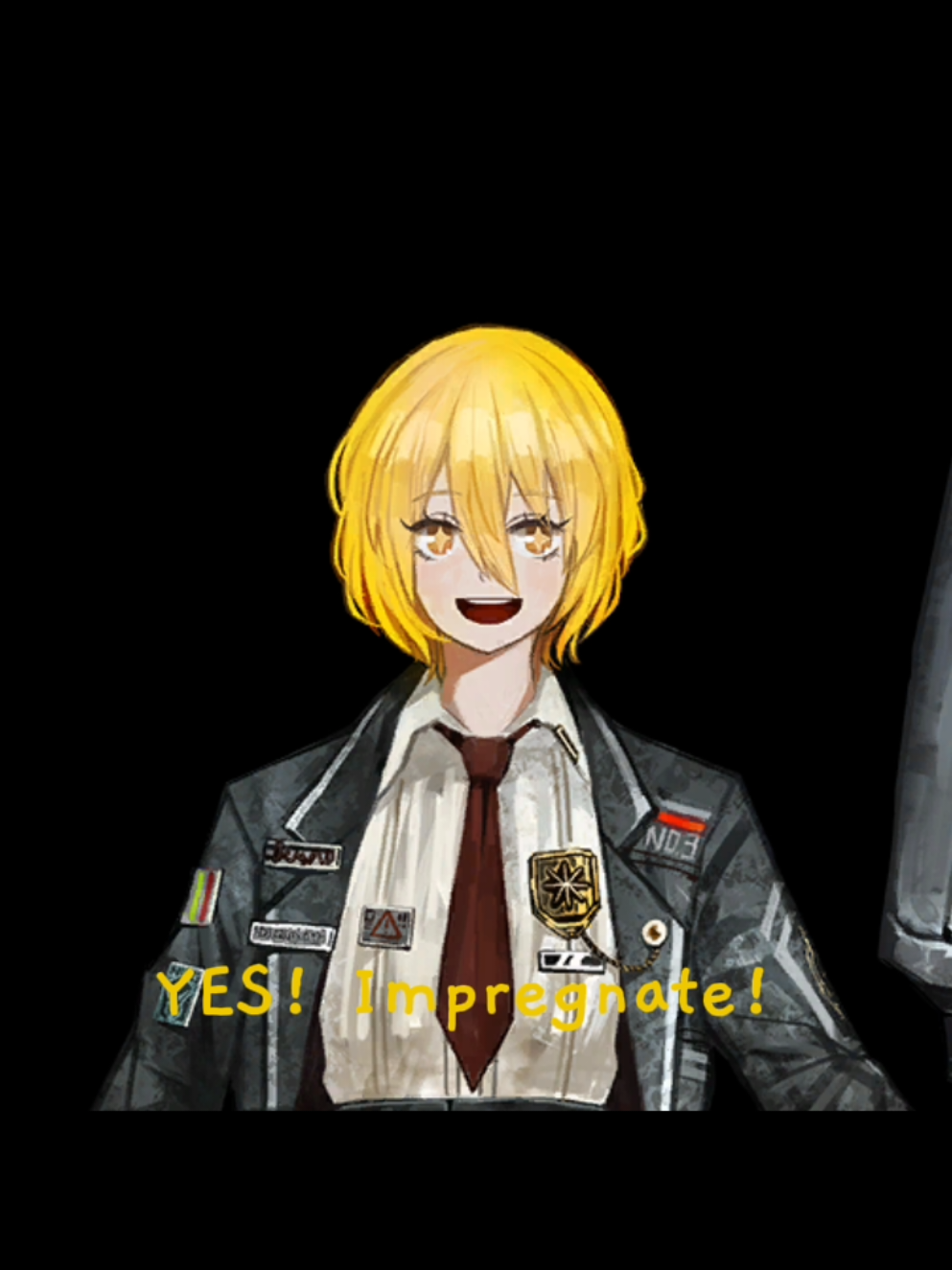 don quixote what the hell - - - #limbuscompany #donquixote #yuri #projectmoon🔑🌙 #fyp 