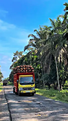 🤣#pesisirselatan #kulisawitindonesia #fyppppppppppppppppppppppp #trucksawit #trend 