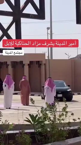 امير منطقة #المدينة_المنورة #صاحب السمو الملكي الامير #سلمان_بن_سلطان_بن_عبدالعزيز_ال_سعود يشرف #مزاد_الابل_بمحافظة_الحناكية #مجتمع_المدينة_المنورة 