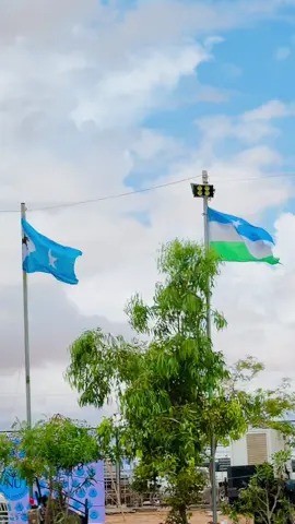 Siyaasi Xunba Dadka WaLaLaha KaLa DiLaYa Un UL Io Diirked Baynu NahaY❤️#only_jab_hadhuudha #fypシ゚vira #somalitiktok #hartinimo💏🇺🇿🐎🙏 