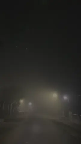 all i need is my peace#fyp 