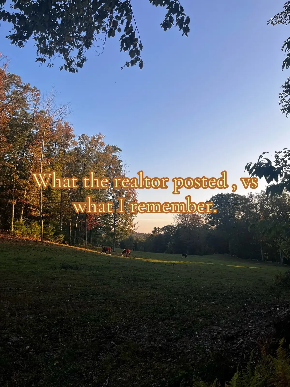 #fypシ #viral #nastolgia #2000sbaby #childhood 